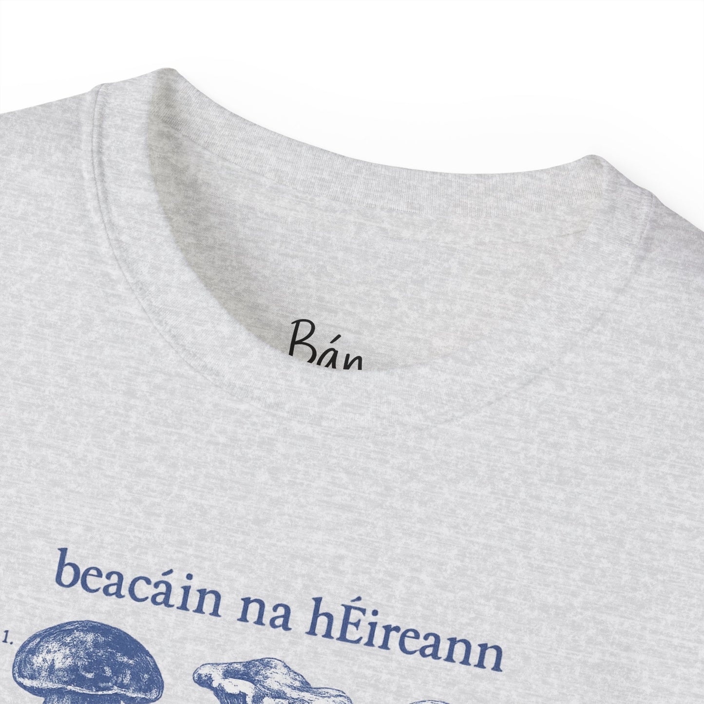 Beacáin na hÉireann T