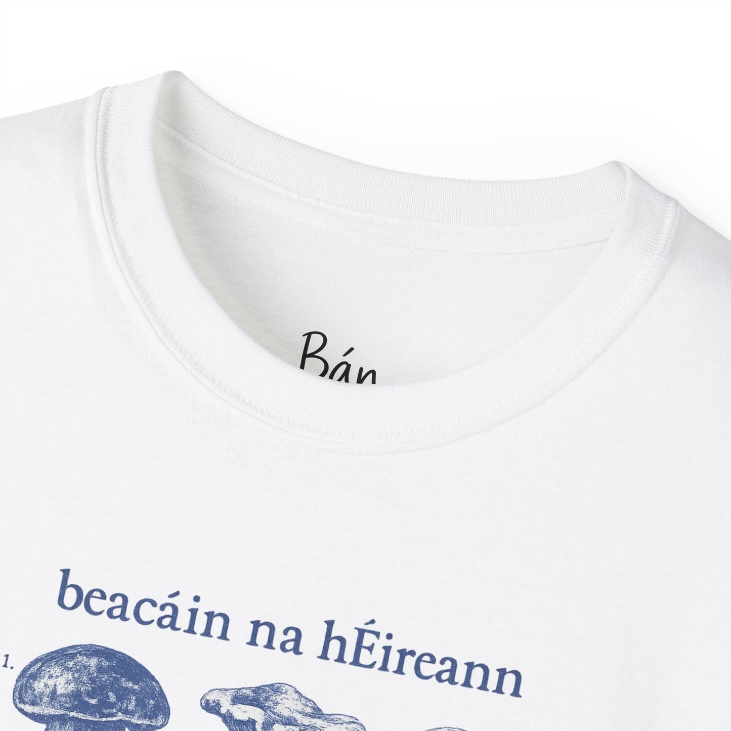 Beacáin na hÉireann T