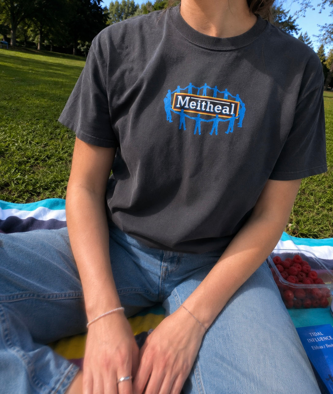 Meitheal T